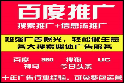 竞价广告在XX行业的成功应用案例